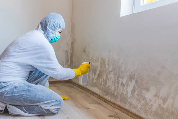 Licensed Mold Remediation service in Moses Lake, WA - 24 Hour Mold Removal