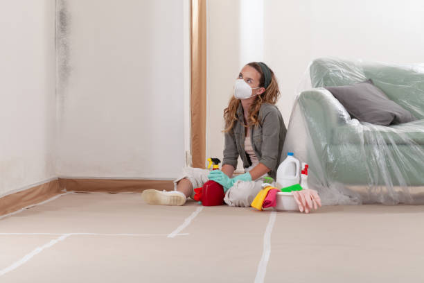 Reliable Mold Remediation contractor in Moses Lake, WA by 24 Hour Mold Removal
