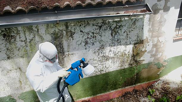 Top rated local Mold Remediation specialists in Moses Lake, WA